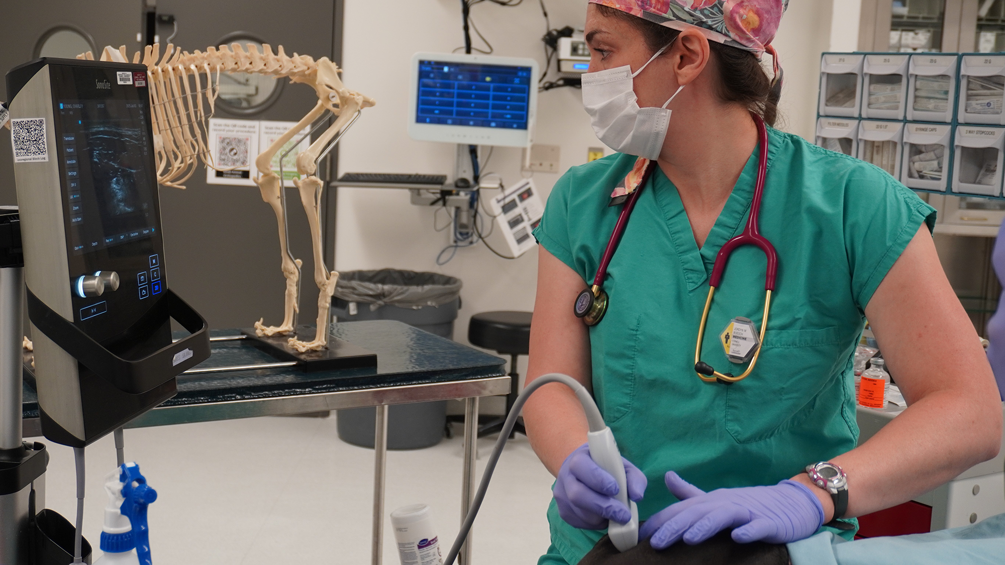 New hope and compassionate care for animal patients in pain